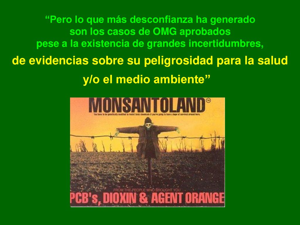 Pero lo que más desconfianza ha generado son los casos de OMG aprobados pese a la existencia de grandes incertidumbres, de evidencias sobre su peligrosidad para la salud y/o el medio ambiente