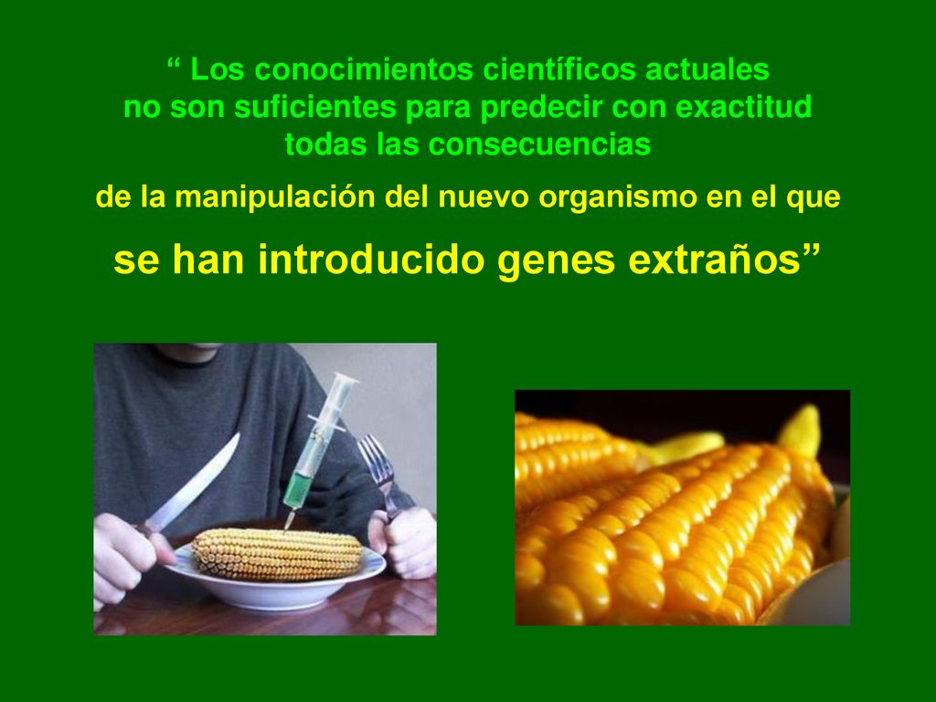 Los conocimientos científicos actuales no son suficientes para predecir con exactitud todas las consecuencias de la manipulación del nuevo organismo en el que se han introducido genes extraños