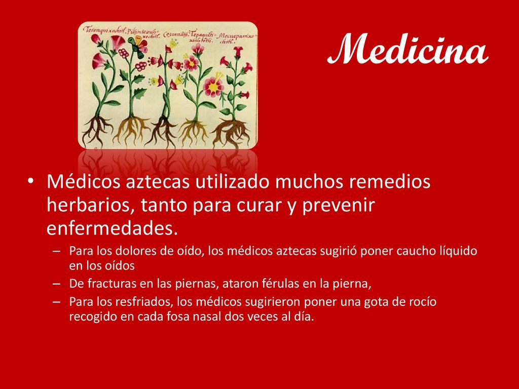 Medicina Médicos aztecas utilizado muchos remedios herbarios, tanto para curar y prevenir enfermedades.