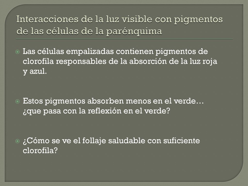 Interacciones de la luz visible con pigmentos de las células de la parénquima