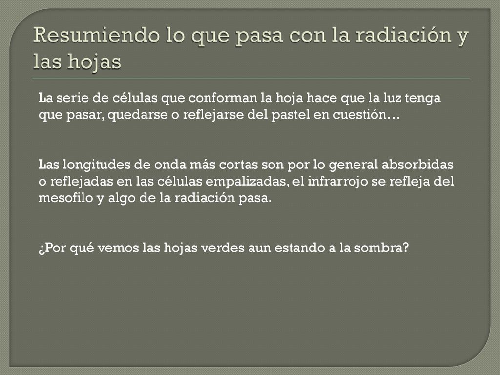 Resumiendo lo que pasa con la radiación y las hojas