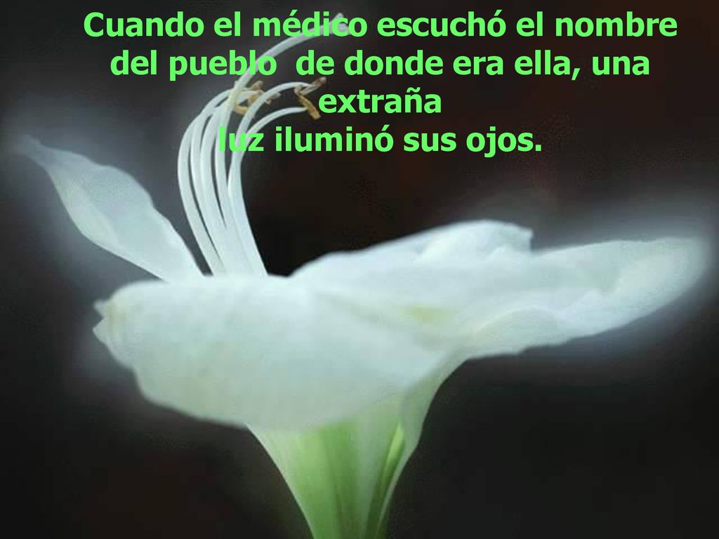 Cuando el médico escuchó el nombre del pueblo de donde era ella, una extraña luz iluminó sus ojos.