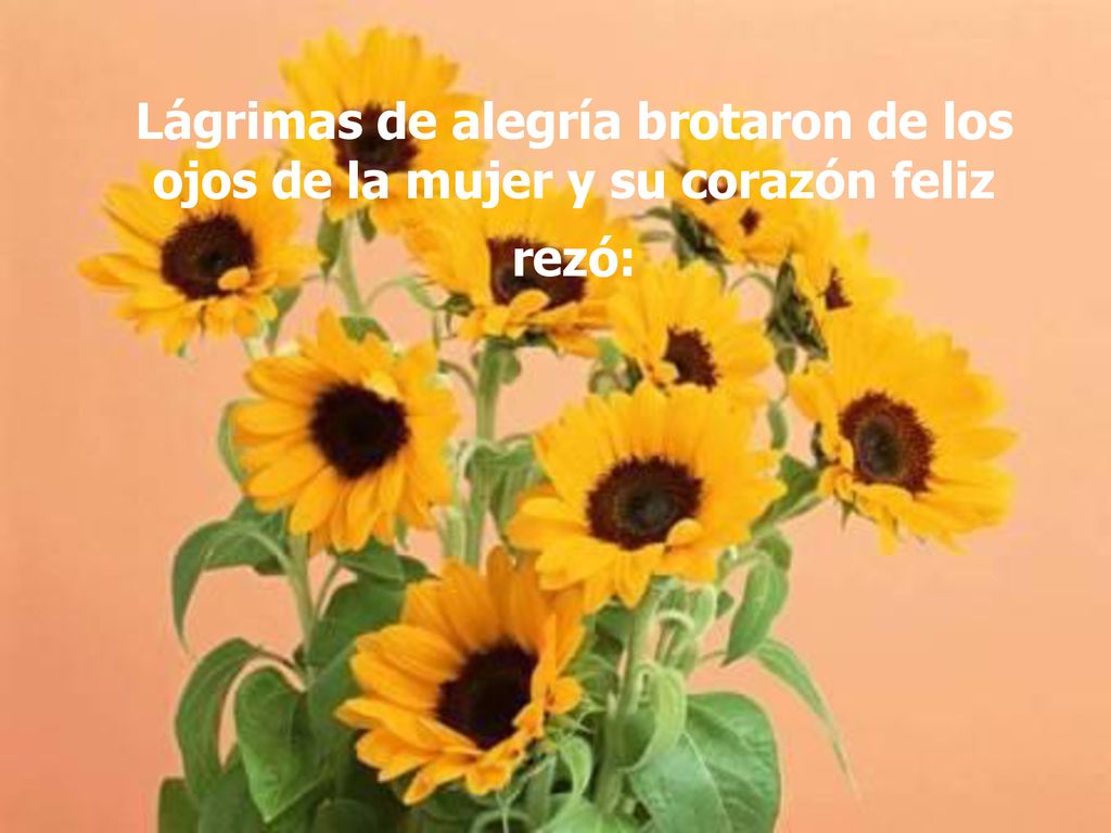 Lágrimas de alegría brotaron de los ojos de la mujer y su corazón feliz rezó: