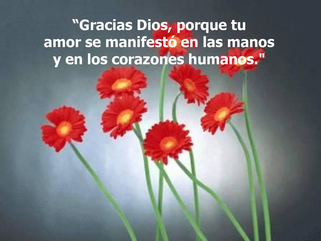 Gracias Dios, porque tu amor se manifestó en las manos y en los corazones humanos.