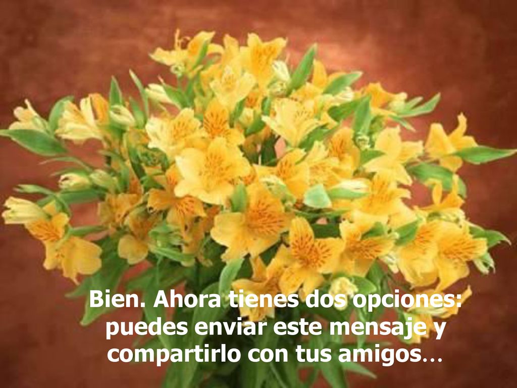 Bien. Ahora tienes dos opciones: puedes enviar este mensaje y compartirlo con tus amigos…