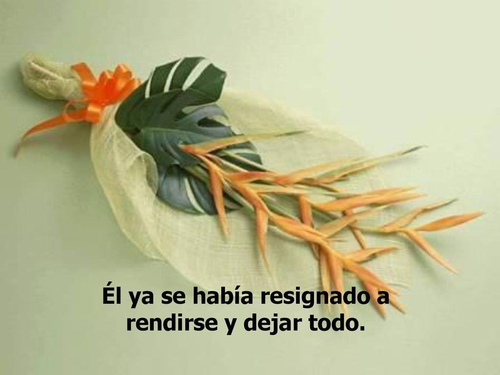Él ya se había resignado a rendirse y dejar todo.