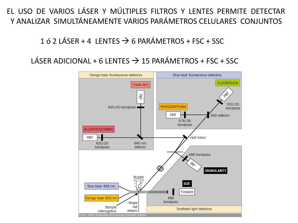 EL USO DE VARIOS LÁSER Y MÚLTIPLES FILTROS Y LENTES PERMITE DETECTAR