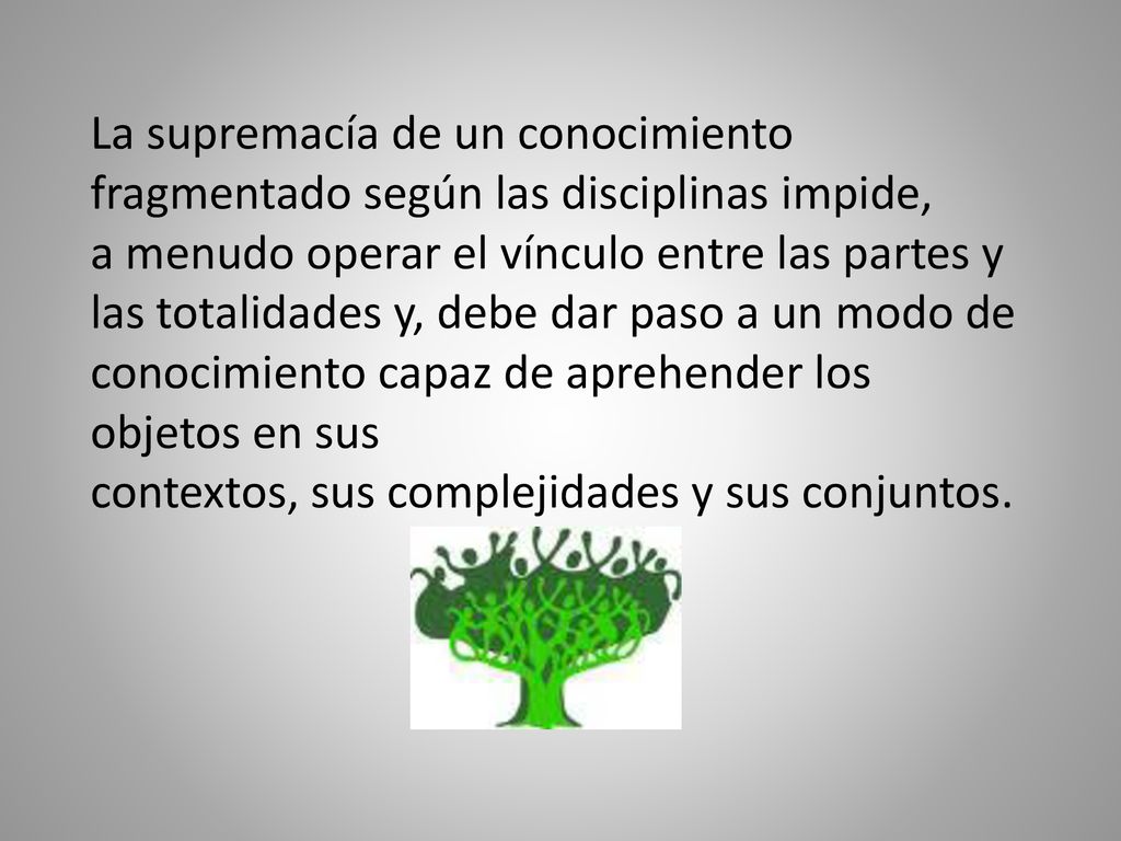 La supremacía de un conocimiento fragmentado según las disciplinas impide,