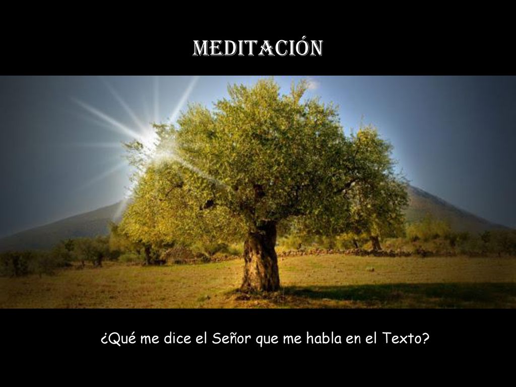 ¿Qué me dice el Señor que me habla en el Texto