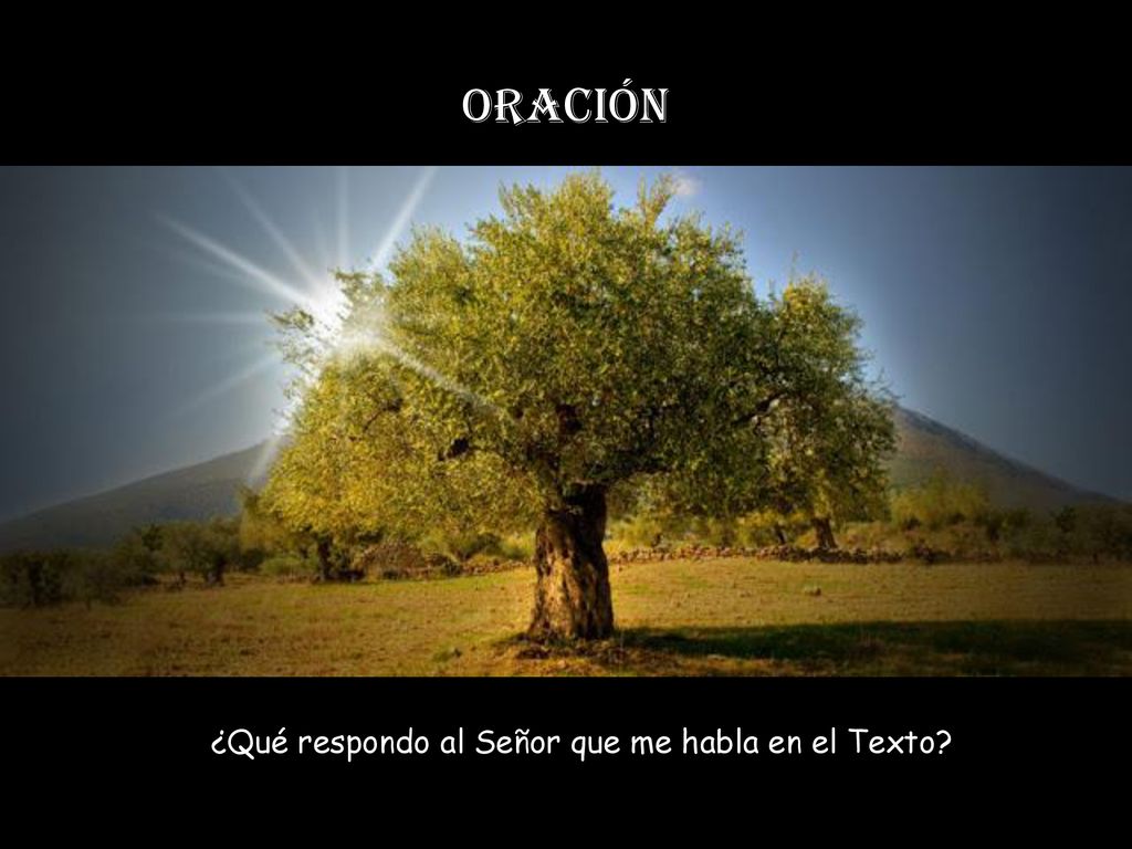 ¿Qué respondo al Señor que me habla en el Texto