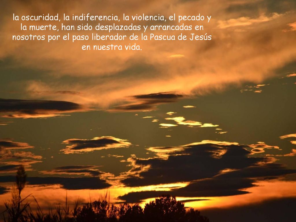 la oscuridad, la indiferencia, la violencia, el pecado y la muerte, han sido desplazadas y arrancadas en nosotros por el paso liberador de la Pascua de Jesús en nuestra vida.