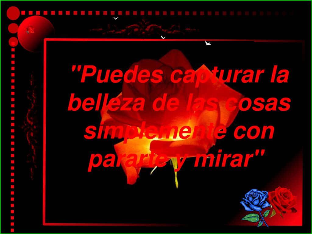 Puedes capturar la belleza de las cosas simplemente con pararte y mirar