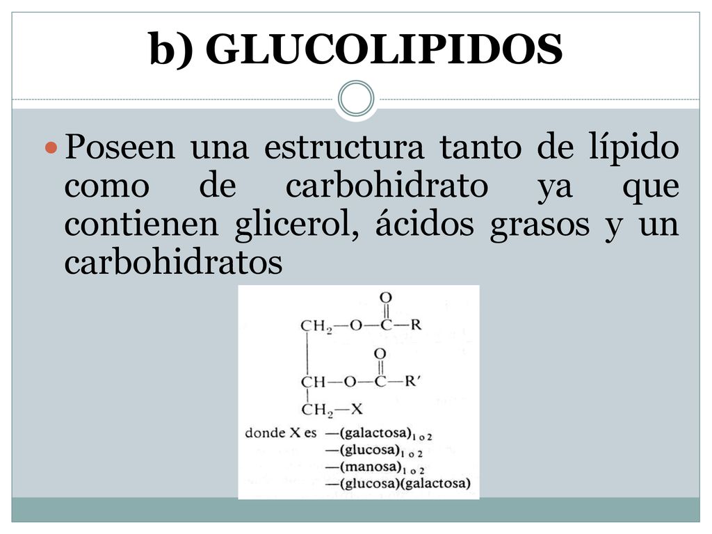 b) GLUCOLIPIDOS Poseen una estructura tanto de lípido como de carbohidrato ya que contienen glicerol, ácidos grasos y un carbohidratos.