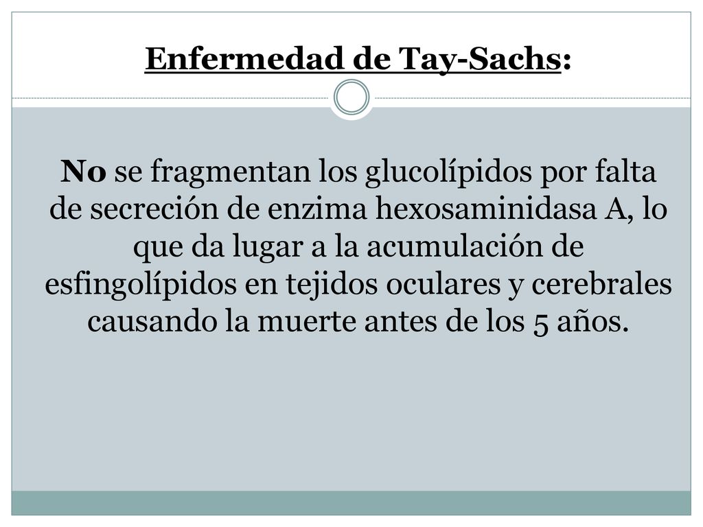 Enfermedad de Tay-Sachs: No se fragmentan los glucolípidos por falta de secreción de enzima hexosaminidasa A, lo que da lugar a la acumulación de esfingolípidos en tejidos oculares y cerebrales causando la muerte antes de los 5 años.