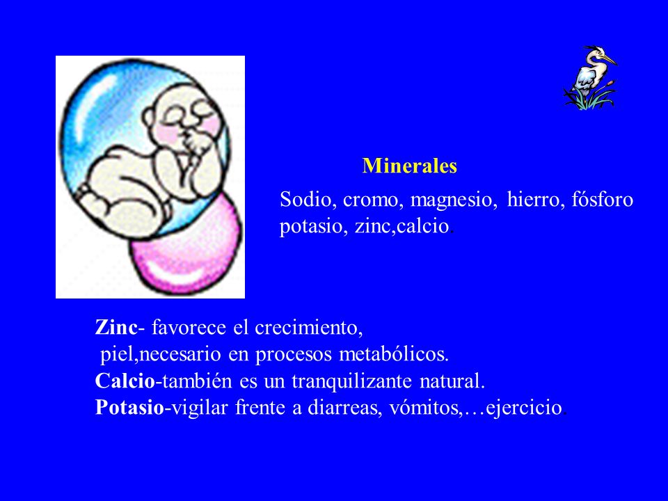 Minerales Sodio, cromo, magnesio, hierro, fósforo. potasio, zinc,calcio. Zinc- favorece el crecimiento,