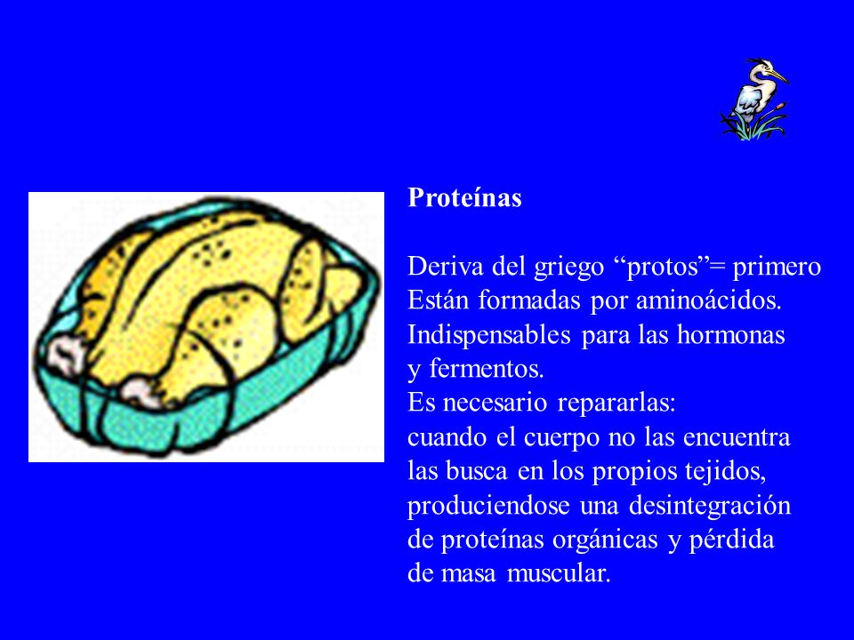 Proteínas Deriva del griego protos = primero. Están formadas por aminoácidos. Indispensables para las hormonas.