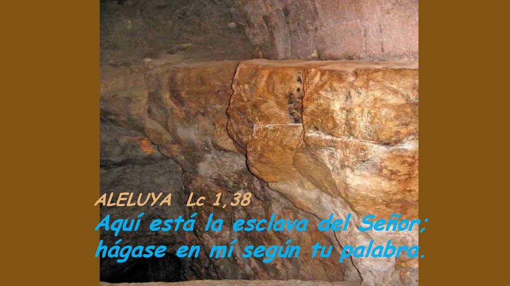 Aquí está la esclava del Señor; hágase en mí según tu palabra.