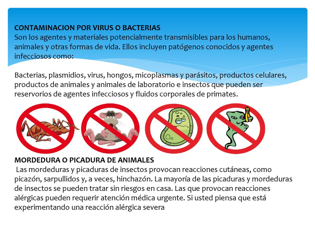 CONTAMINACION POR VIRUS O BACTERIAS Son los agentes y materiales potencialmente transmisibles para los humanos, animales y otras formas de vida. Ellos incluyen patógenos conocidos y agentes infecciosos como: