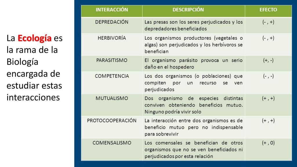 La Ecología es la rama de la Biología encargada de estudiar estas interacciones