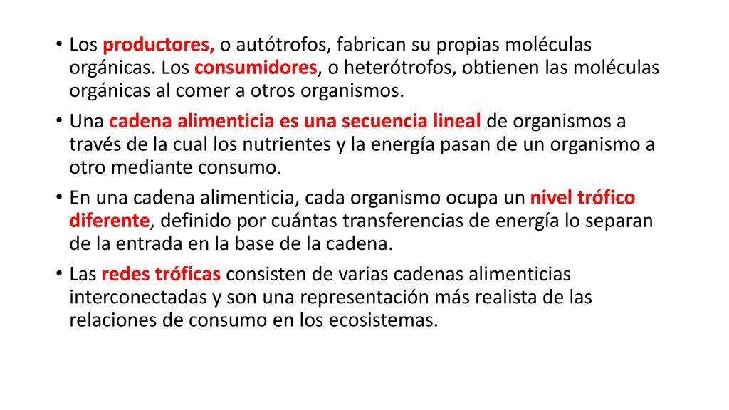 Los productores, o autótrofos, fabrican su propias moléculas orgánicas