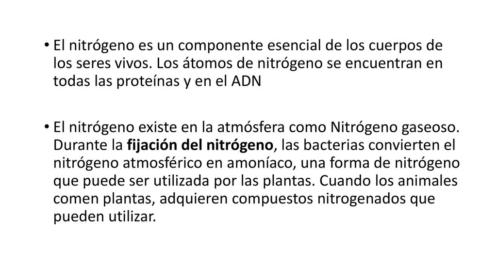El nitrógeno es un componente esencial de los cuerpos de los seres vivos. Los átomos de nitrógeno se encuentran en todas las proteínas y en el ADN
