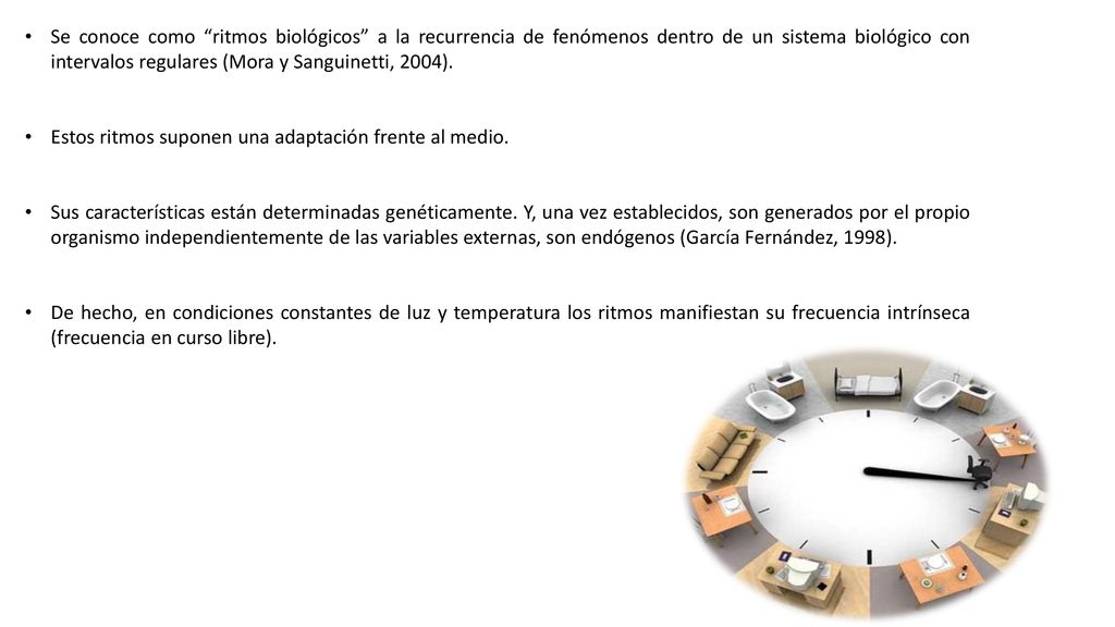 Se conoce como ritmos biológicos a la recurrencia de fenómenos dentro de un sistema biológico con intervalos regulares (Mora y Sanguinetti, 2004).