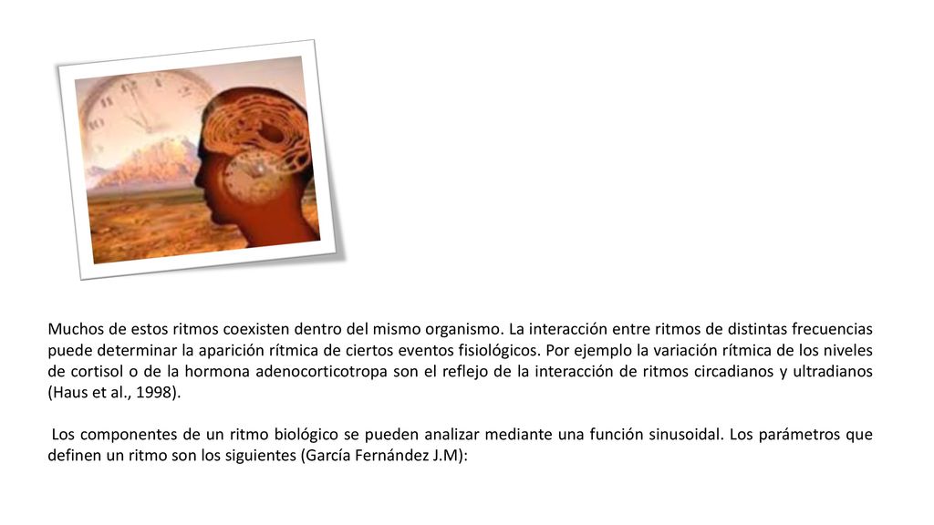 Muchos de estos ritmos coexisten dentro del mismo organismo