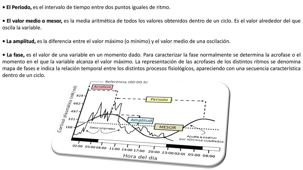 • El Periodo, es el intervalo de tiempo entre dos puntos iguales de ritmo.