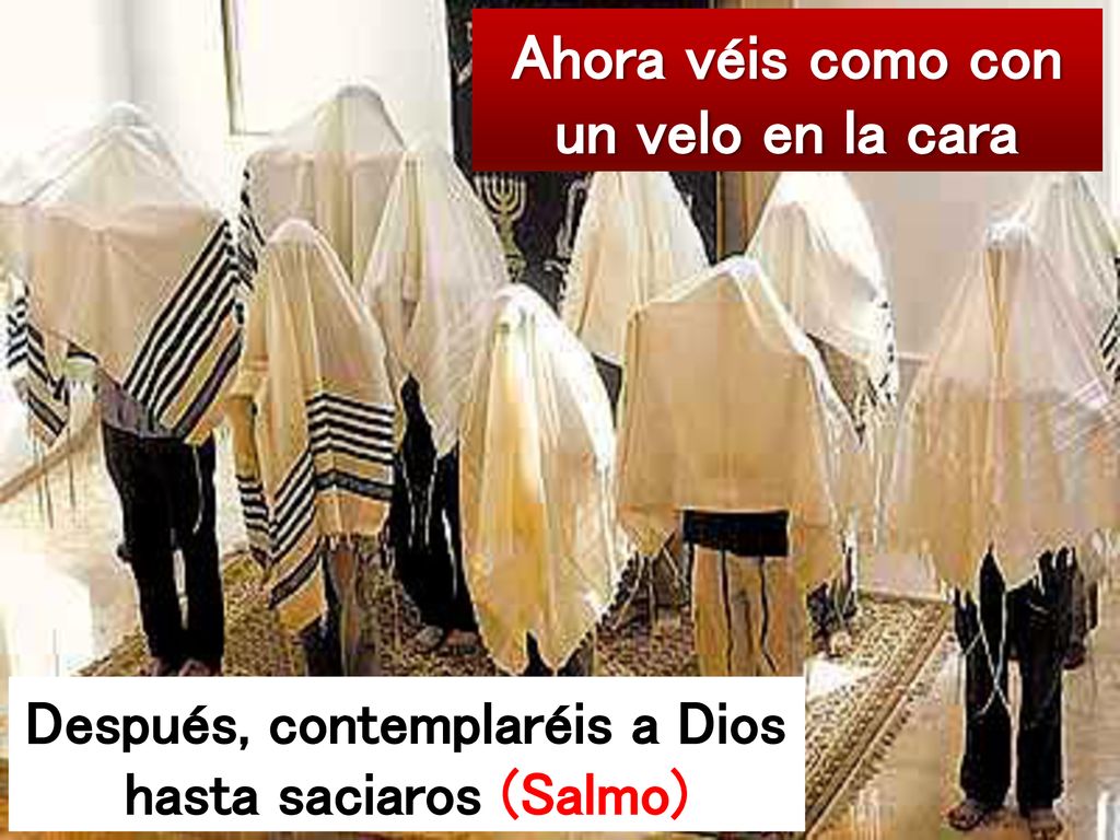 Ahora véis como con un velo en la cara