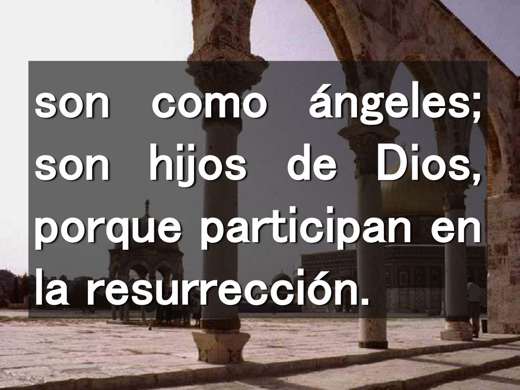 son como ángeles; son hijos de Dios, porque participan en la resurrección.