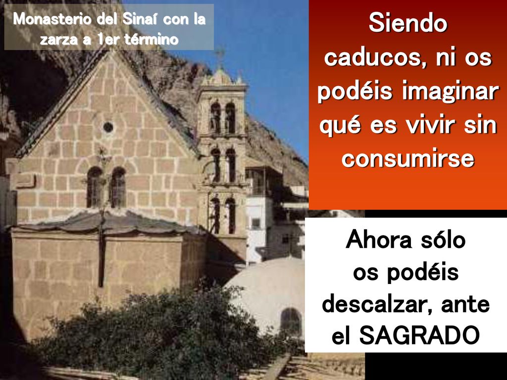Siendo caducos, ni os podéis imaginar qué es vivir sin consumirse