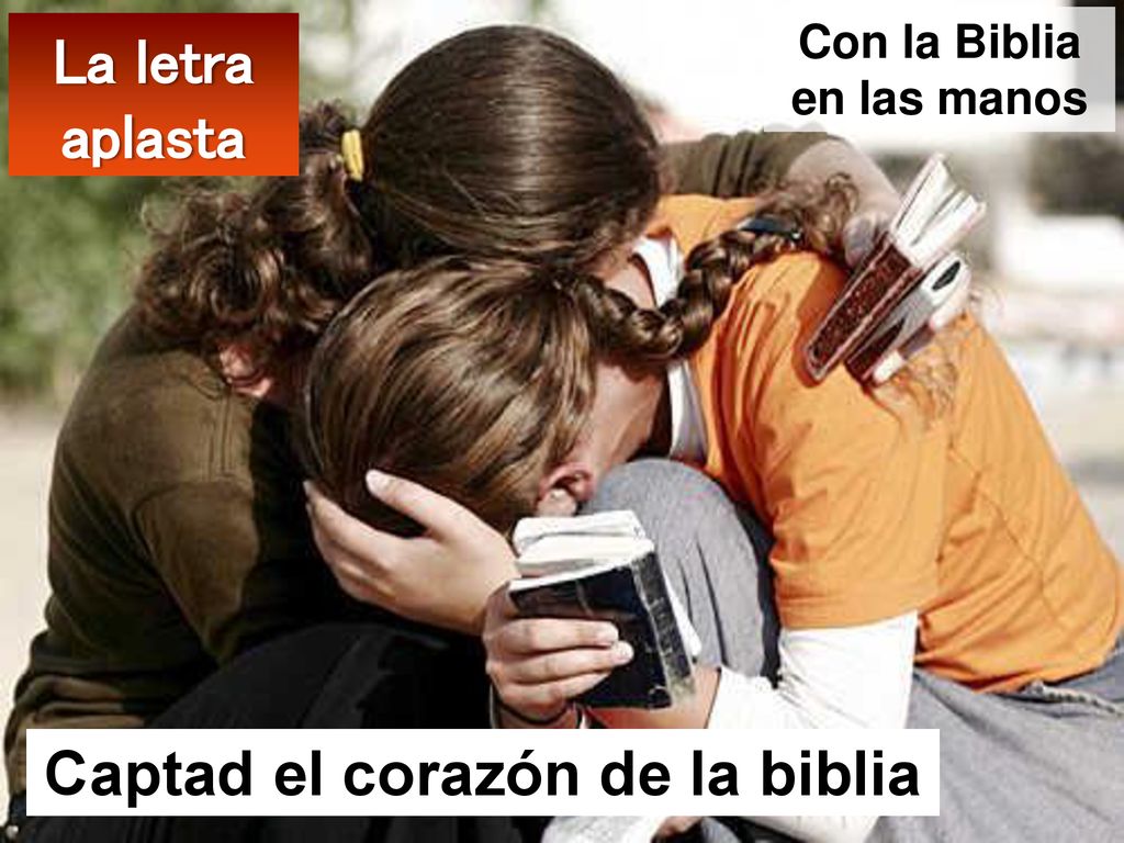 Con la Biblia en las manos Captad el corazón de la biblia