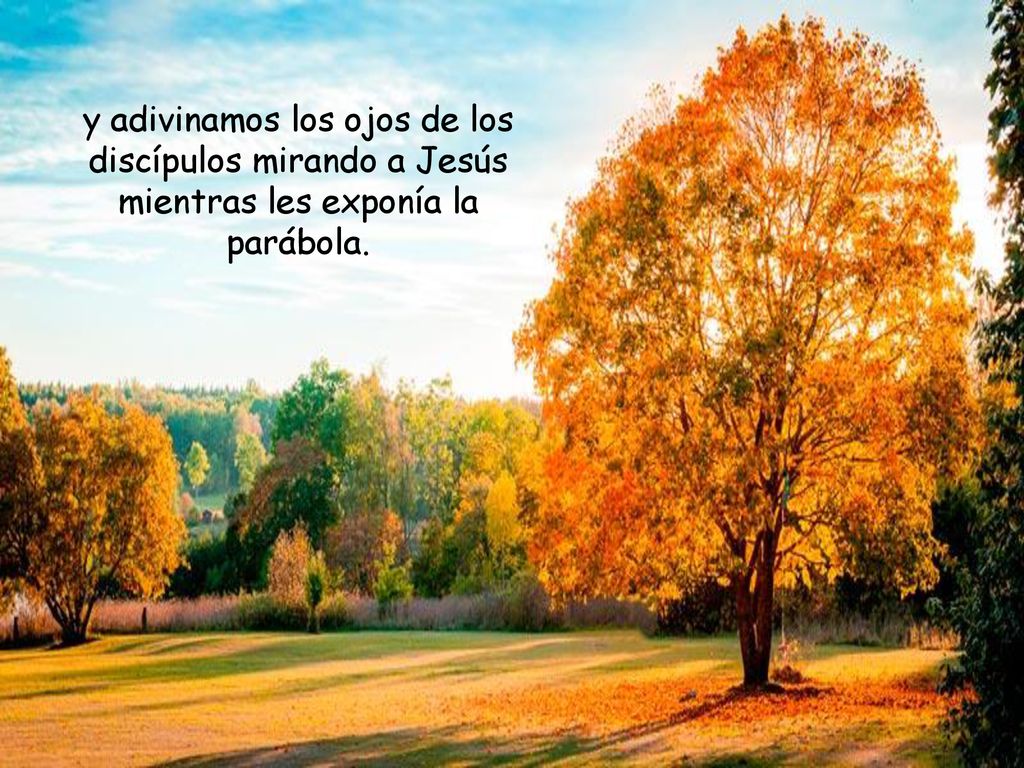 y adivinamos los ojos de los discípulos mirando a Jesús mientras les exponía la parábola.