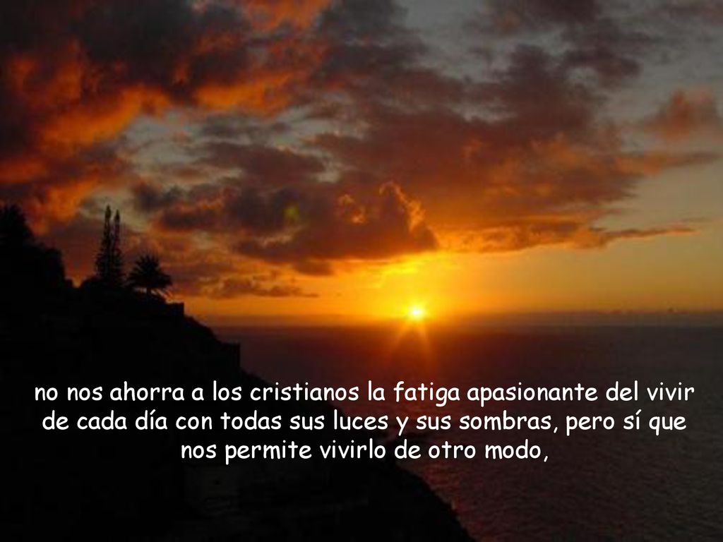 no nos ahorra a los cristianos la fatiga apasionante del vivir de cada día con todas sus luces y sus sombras, pero sí que nos permite vivirlo de otro modo,