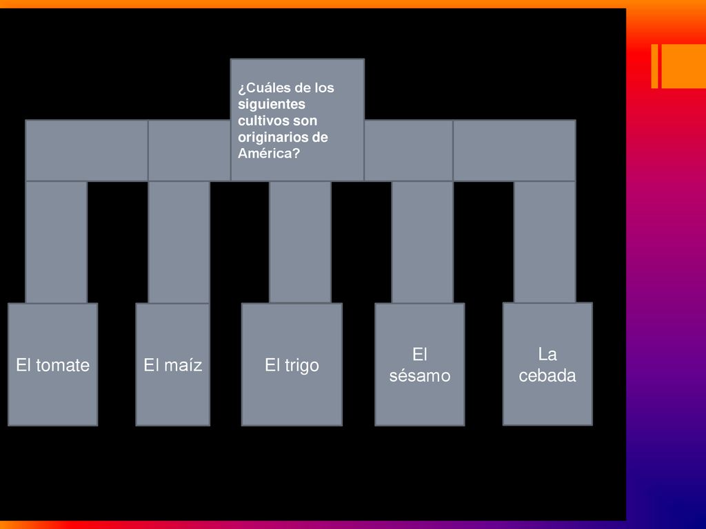 El tomate El maíz El trigo El sésamo La cebada