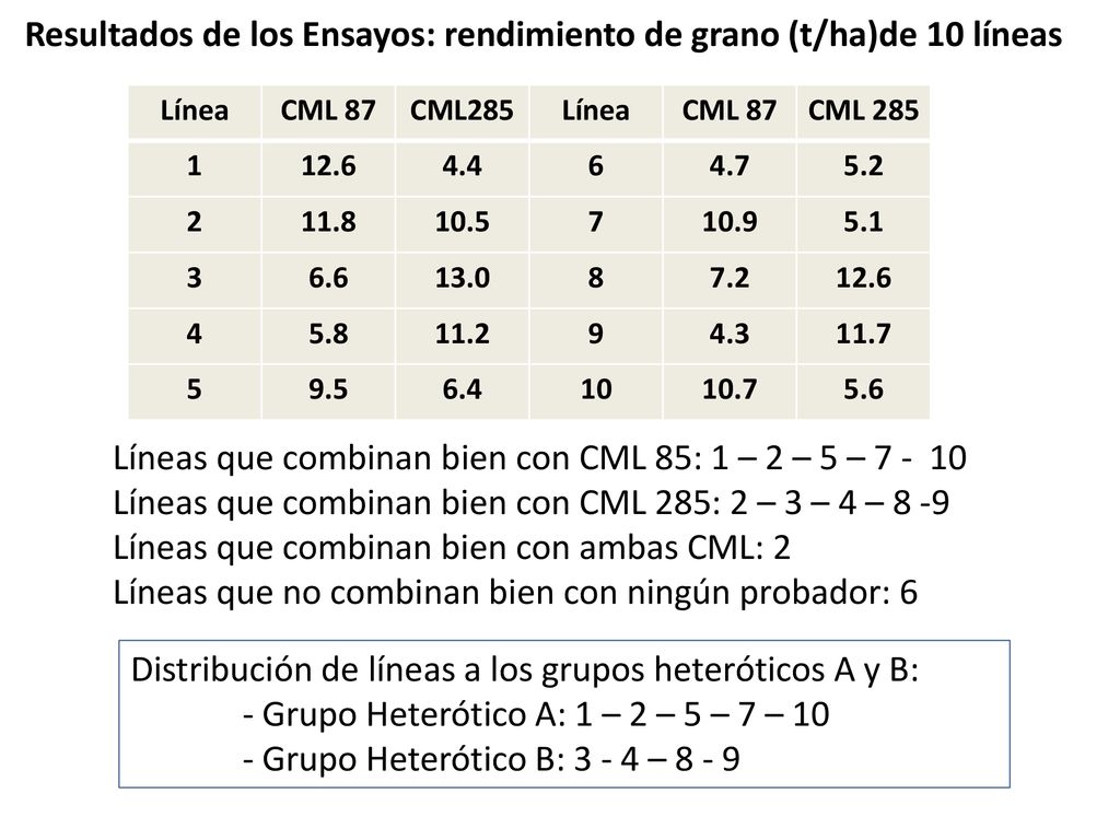 Resultados de los Ensayos: rendimiento de grano (t/ha)de 10 líneas