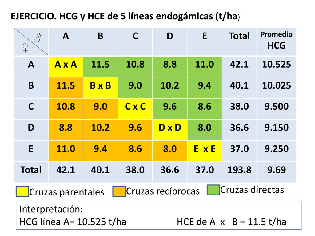 EJERCICIO. HCG y HCE de 5 líneas endogámicas (t/ha) A B C D E Total