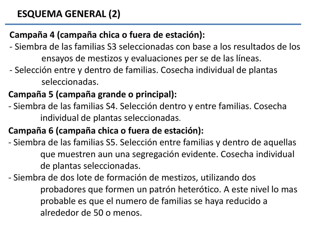 ESQUEMA GENERAL (2) Campaña 4 (campaña chica o fuera de estación):