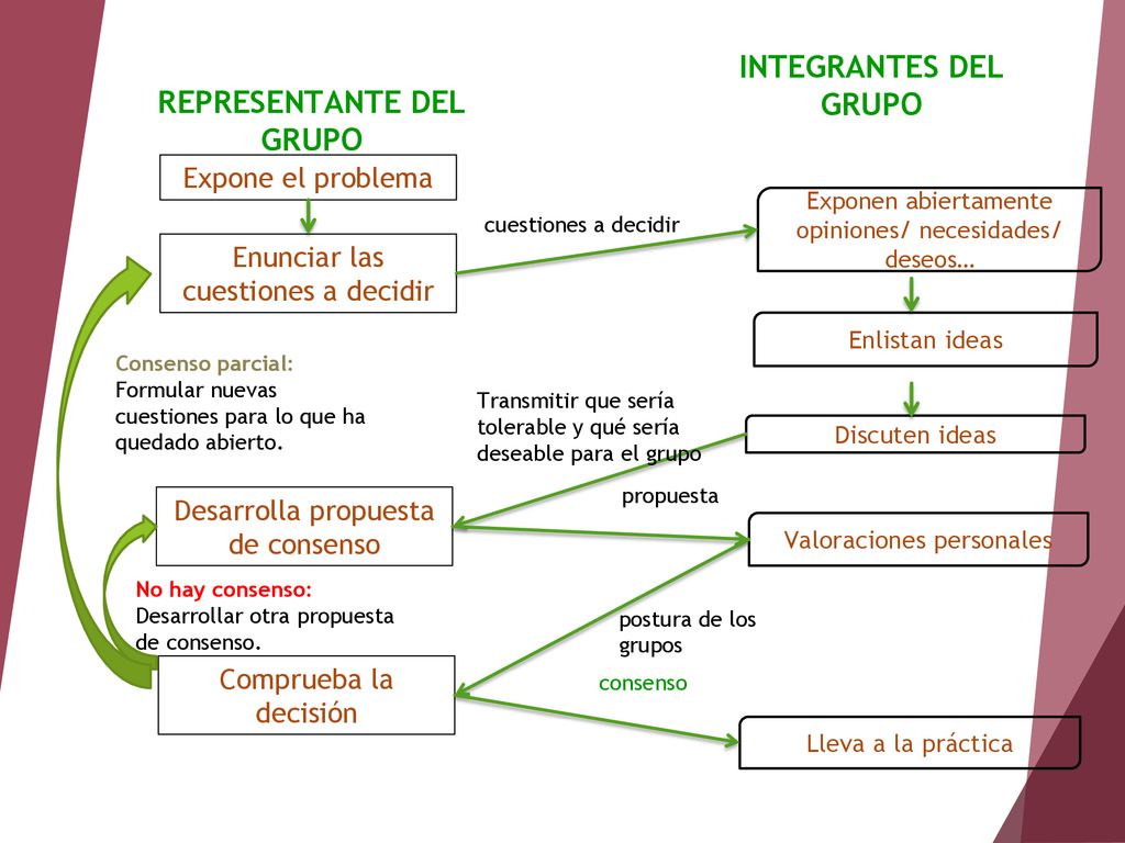 REPRESENTANTE DEL GRUPO
