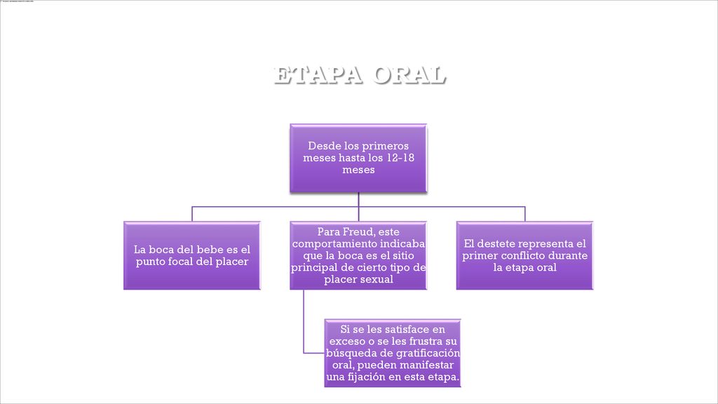 Etapa oral Desde los primeros meses hasta los meses