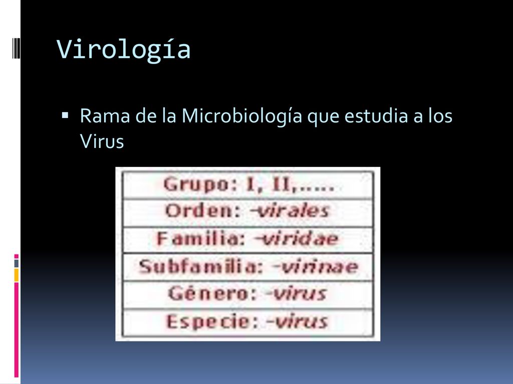 Virología Rama de la Microbiología que estudia a los Virus