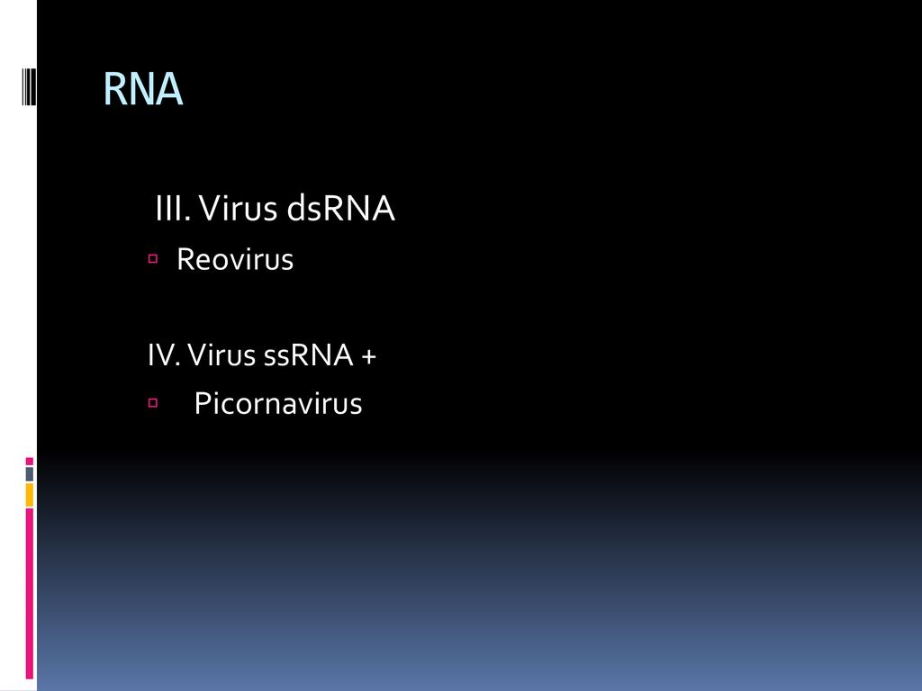 RNA III. Virus dsRNA Reovirus IV. Virus ssRNA + Picornavirus