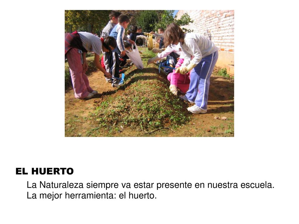 EL HUERTO La Naturaleza siempre va estar presente en nuestra escuela