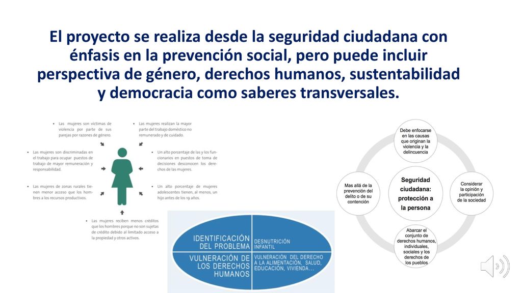 El proyecto se realiza desde la seguridad ciudadana con énfasis en la prevención social, pero puede incluir perspectiva de género, derechos humanos, sustentabilidad y democracia como saberes transversales.