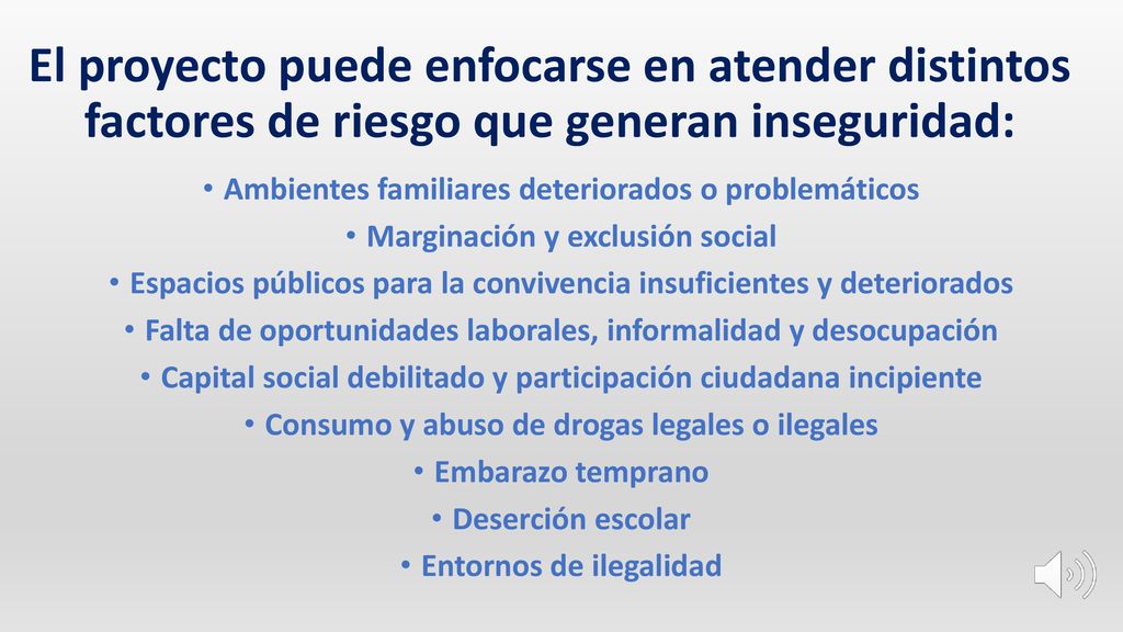 El proyecto puede enfocarse en atender distintos factores de riesgo que generan inseguridad:
