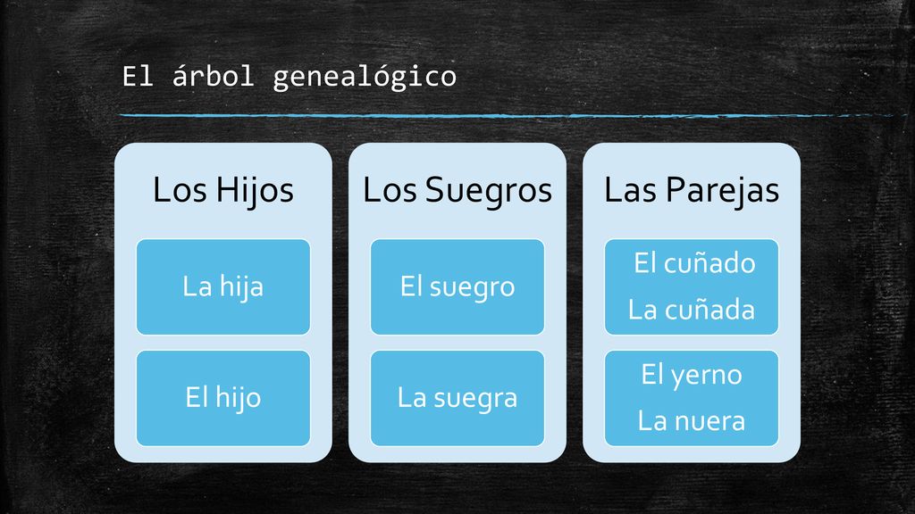 Los Hijos Los Suegros Las Parejas El árbol genealógico La hija El hijo