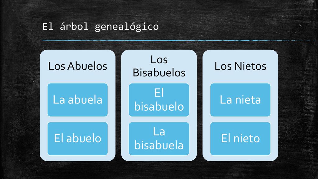 La abuela El abuelo El bisabuelo La bisabuela La nieta El nieto