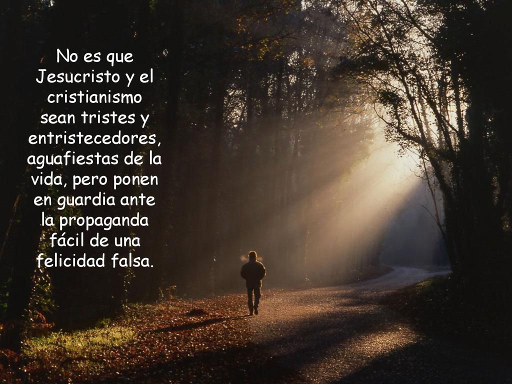 No es que Jesucristo y el cristianismo sean tristes y entristecedores, aguafiestas de la vida, pero ponen en guardia ante la propaganda fácil de una felicidad falsa.