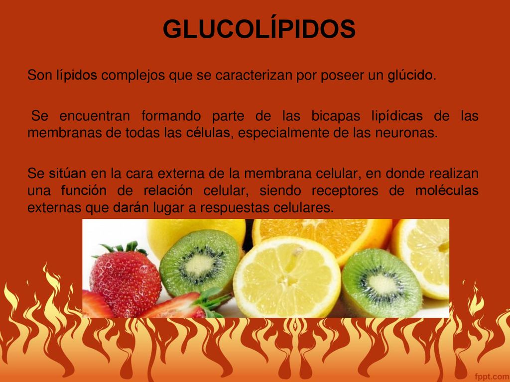 GLUCOLÍPIDOS Son lípidos complejos que se caracterizan por poseer un glúcido.