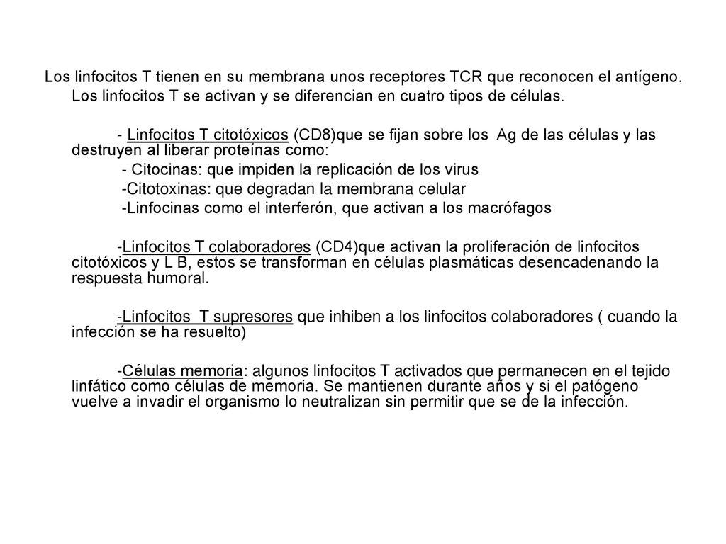 Los linfocitos T tienen en su membrana unos receptores TCR que reconocen el antígeno.